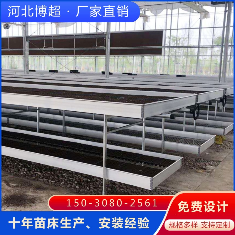 ����\�W(w��ng)Ƭ�p���Ƅ��紲